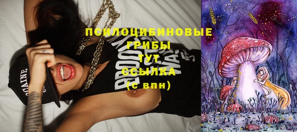 ГАЛЛЮЦИНОГЕННЫЕ ГРИБЫ Абинск