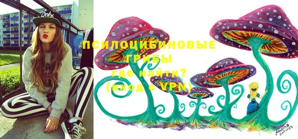 ГАЛЛЮЦИНОГЕННЫЕ ГРИБЫ Абинск