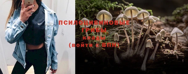 стафф Киренск