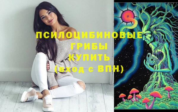 ГАЛЛЮЦИНОГЕННЫЕ ГРИБЫ Абинск