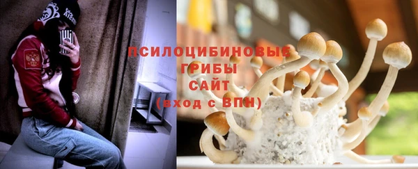 ГАЛЛЮЦИНОГЕННЫЕ ГРИБЫ Абинск