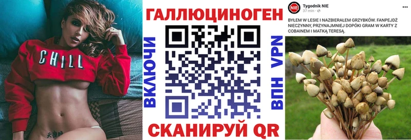 Галлюциногенные грибы прущие грибы  купить наркоту  MEGA tor  Суоярви 